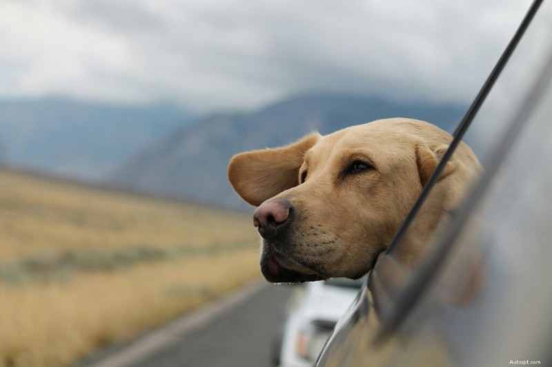 How Often Should You Wash Your Car? Expert Guide for Optimal Maintenance