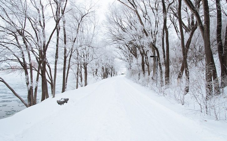 Safe Driving on Icy Roads: Expert Tips for Winter Travel