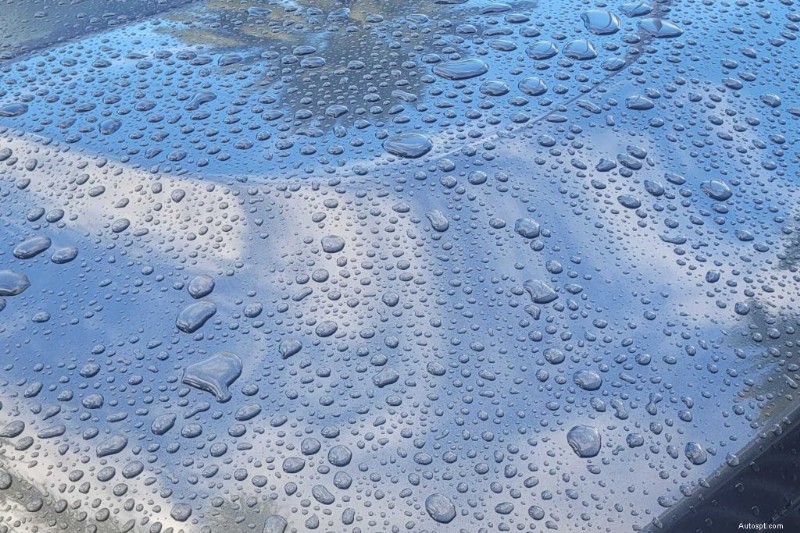 Chemical Guys vs. Adams Ceramic Coatings: Expert, Unbiased Comparison