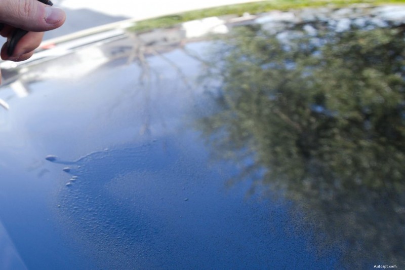 Chemical Guys vs. Adams Ceramic Coatings: Expert, Unbiased Comparison