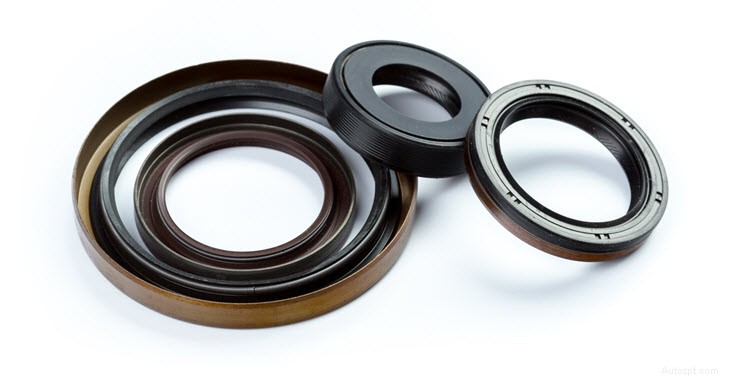 Top Escondido Repair Shop for Mini Crank Seal Oil Leaks