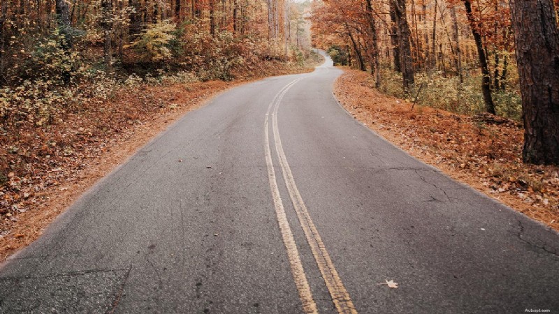 Fall Driving Safety: Essential Vehicle Prep & Personal Readiness Tips