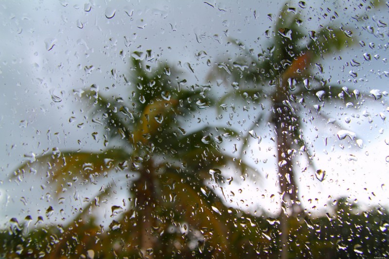 Protect Your Vehicle During Hurricane Season: Essential Car Care Tips