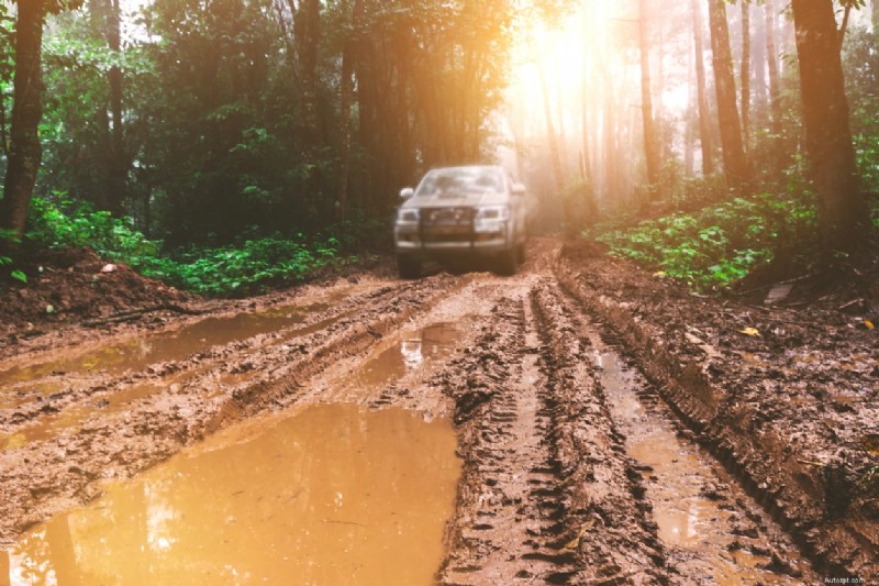 Essential Guide to Quickly and Effectively Clean Your Car After Muddy Outdoor Adventures