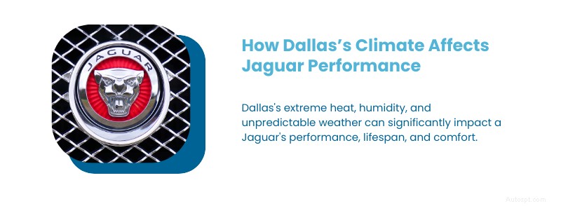Ultimate Jaguar Maintenance Guide for Dallas, TX: Expert Tips & Local Care
