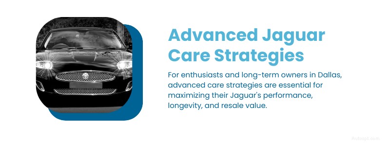 Ultimate Jaguar Maintenance Guide for Dallas, TX: Expert Tips & Local Care