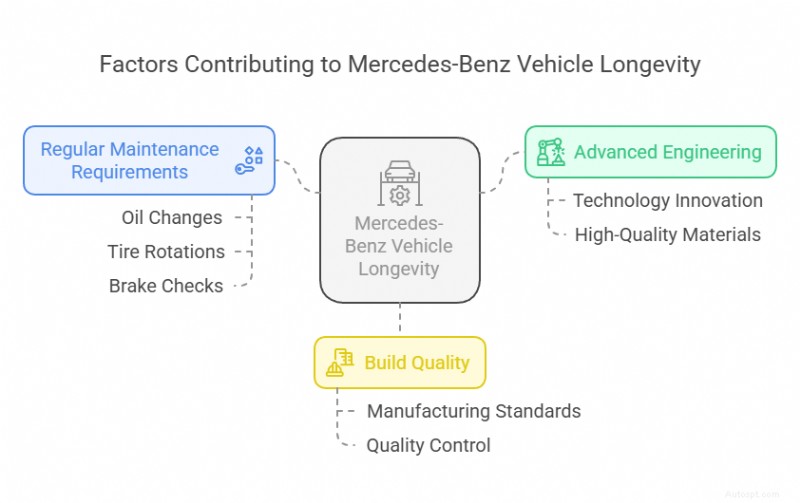 Reliability of Mercedes-Benz Cars for Texas Drivers: What You Need to Know