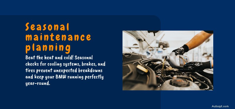 Premium BMW X Series Service in Plano & Dallas – Precision & Reliability