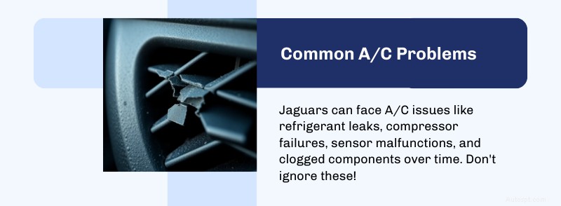 Premium Jaguar Air Conditioning Service in Dallas & Plano – Keep Your Luxury Ride Cool