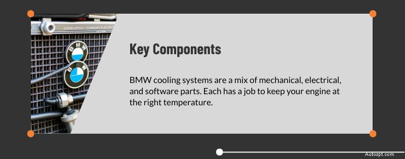 Expert BMW Cooling System Service in Dallas & Plano, TX