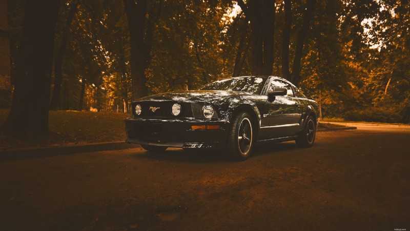 German, Japanese, and American Cars: Key Similarities and Differences Explained