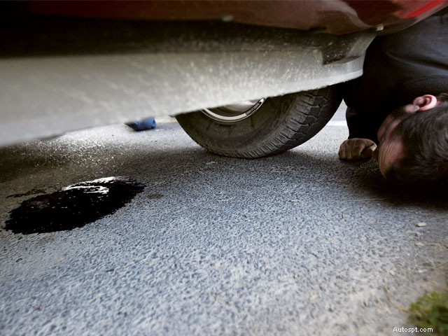 How to Spot and Diagnose Oil Leaks Under Your Car