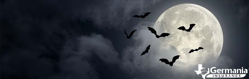 Texas s 6 Uncanny Yet Harmless Creatures You Should Know About