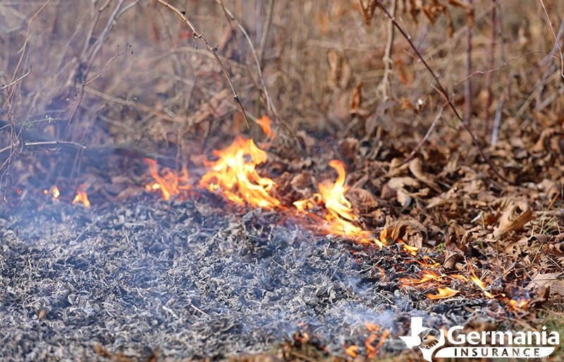 Understanding Wildfire Causes & Rapid Spread: Key Factors & Prevention