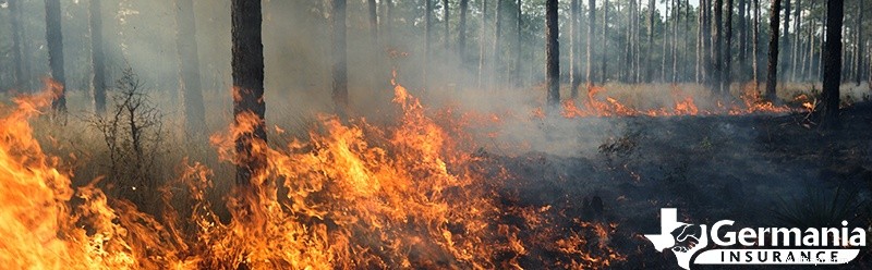 Understanding Wildfire Causes & Rapid Spread: Key Factors & Prevention