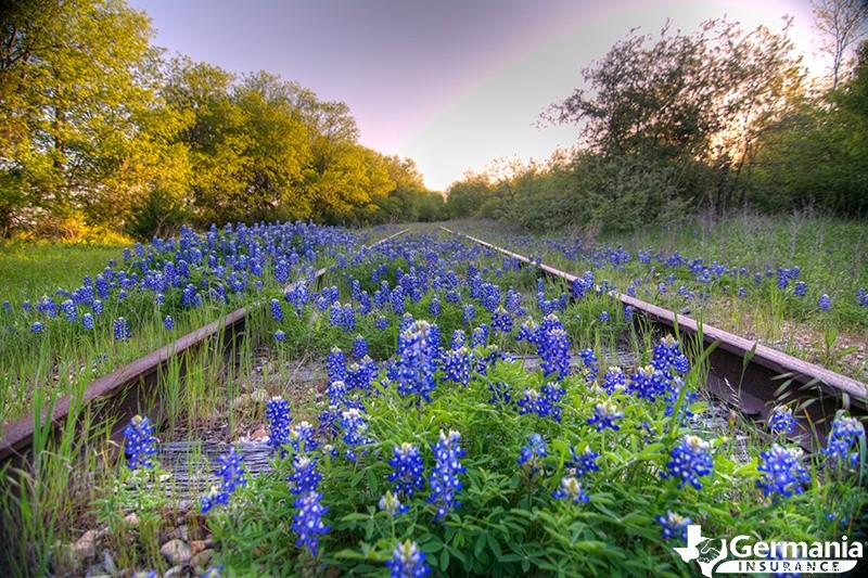 Discover Texas 10 Most Instagram‑Perfect Destinations