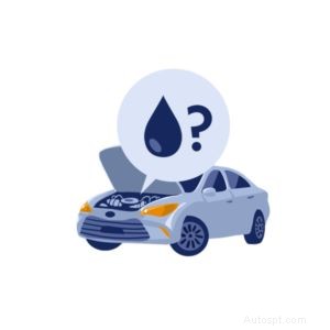 Conventional vs Synthetic Motor Oil: Which Is Best for Your Vehicle?