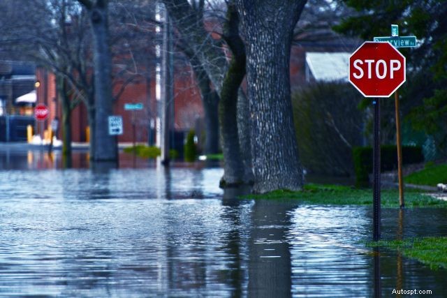 Avoid Hidden Risks: Spotting Flood‑Damaged Cars in the Used Vehicle Market