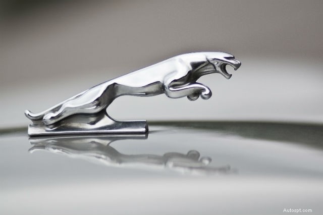 From Iconic Accents to Rare Treasures: The Story of Car Hood Ornaments