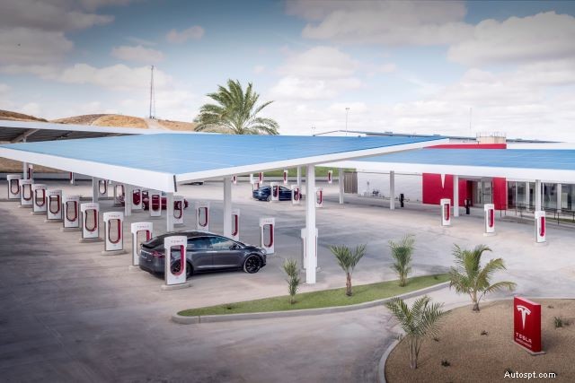 Buying a Tesla? Essential Insights Every Prospective Owner Should Know