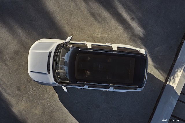 Best Convertibles for Autumn Leaf Peeping: Ride in Open‑Air Comfort
