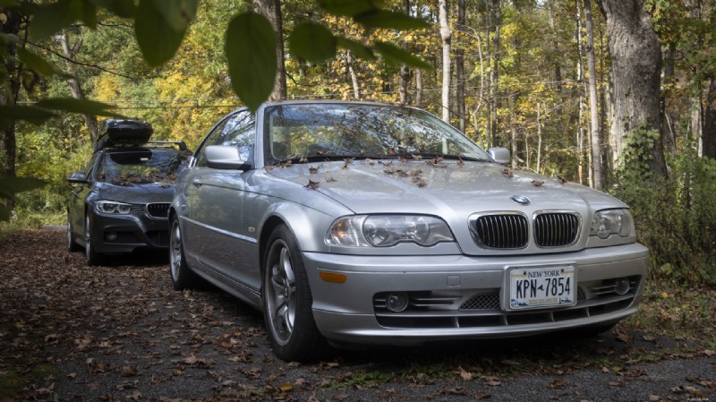 Keep Your Car Paint Pristine: Remove Fallen Leaves Immediately