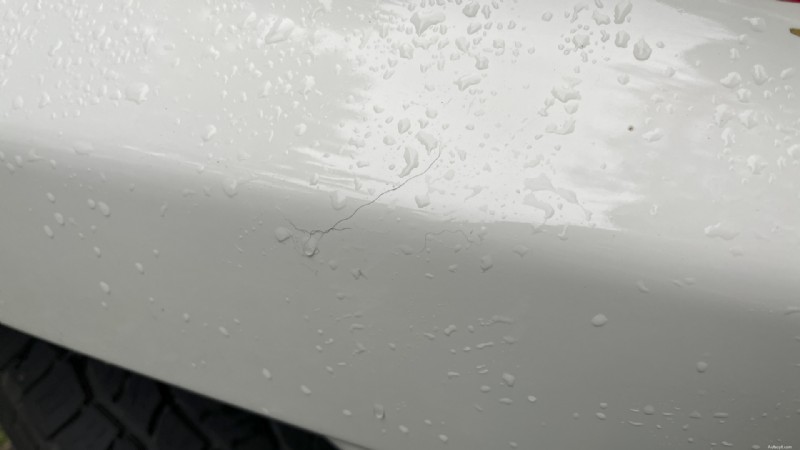 Keep Your Car Paint Pristine: Remove Fallen Leaves Immediately