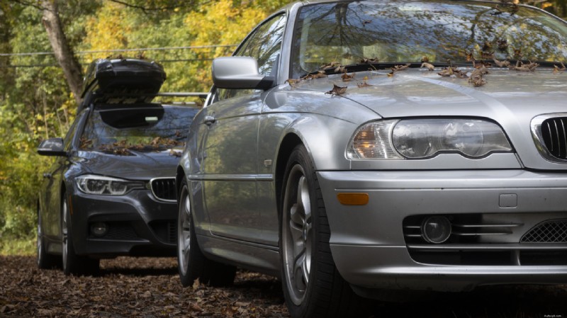 Keep Your Car Paint Pristine: Remove Fallen Leaves Immediately