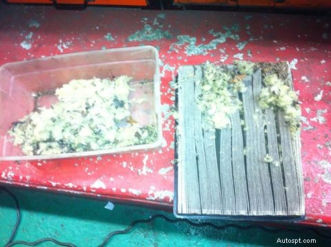 Prevent Engine Misfires: Keep Air Filters Free of Mice