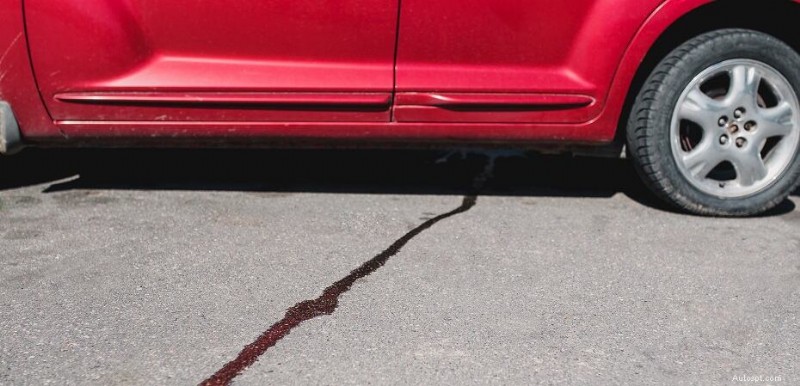 Why Your Car Is Leaking Water: Common Causes & Easy Fixes