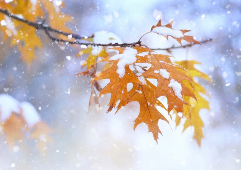 Winter Tire Timing: Expert Tips for a Safe Seasonal Switch