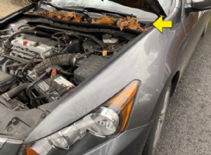 Rake those leaves from your car…Don’t Ignore them