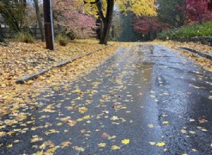 7 Fall Driving Tips: Handing Wet Leaves & Rain