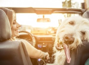 5 Tips for Car Interior Cleaning