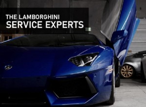 THE Lamborghini Service Experts