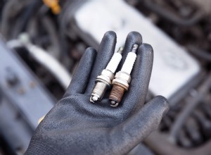 Autumn Rust Protection