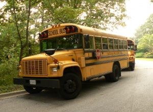 School Bus Safety