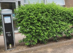 Wilmott Dixon to install workplace charging across all its sites