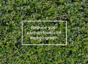How To Reduce Your Carbon Footprint — And Why It’s Smart Business