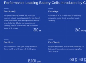 Chinese battery cell makers are ready to grow