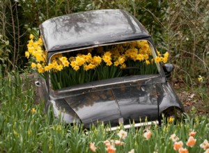 Car Spring Cleaning Checklist