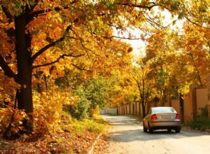 5 Great Tips for Holiday Road Trips