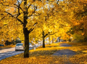 Fall Car Care Month is Right Around the Corner!
