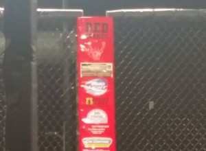 Car Crafters Sponsors Triple A MMA X: Genesis