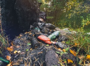 Motor Oil Pollution & What You Can Do To Prevent It