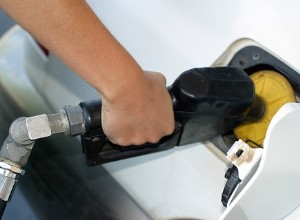 Going green: Good for the environment and your wallet