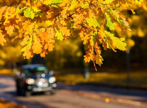 6 Essential Fall Car Care Tips