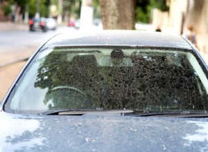 How To Remove Water Spots From Your Car