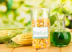 Renewable Fuels: What is Biodiesel?
