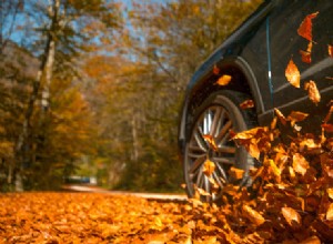 Prepping Your BMW For the Fall Season